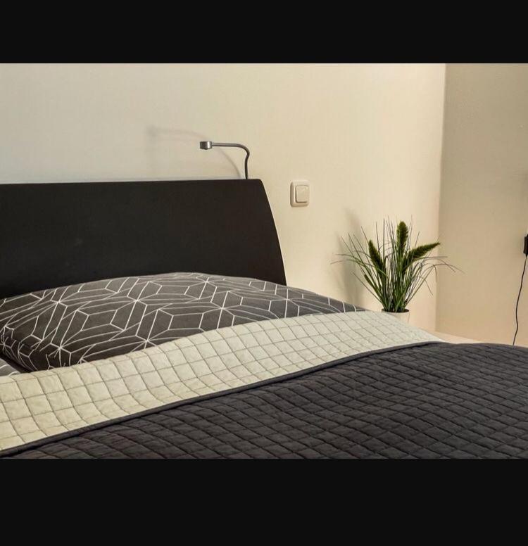 Zimmer - Modernes Apartment mit 45 qm. Straubing Extérieur photo