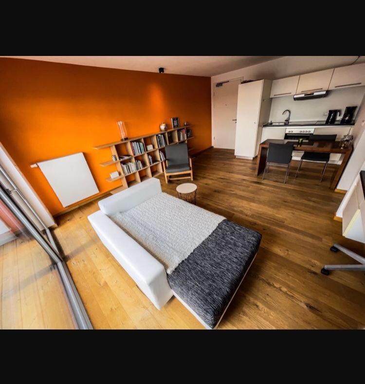 Zimmer - Modernes Apartment mit 45 qm. Straubing Extérieur photo